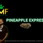 EMF MENU ITEMS - pineapple express - rectangle smaller 1