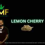 EMF - LEMON CHERRY